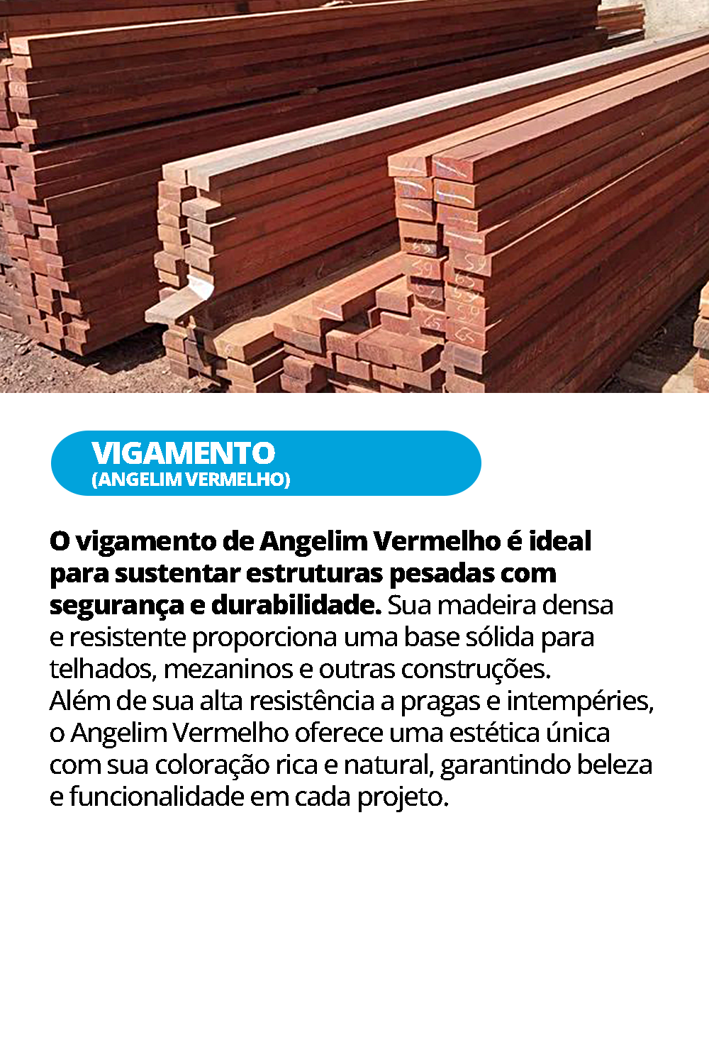 VIGAMENTO-ANGELIM-VERMELHO